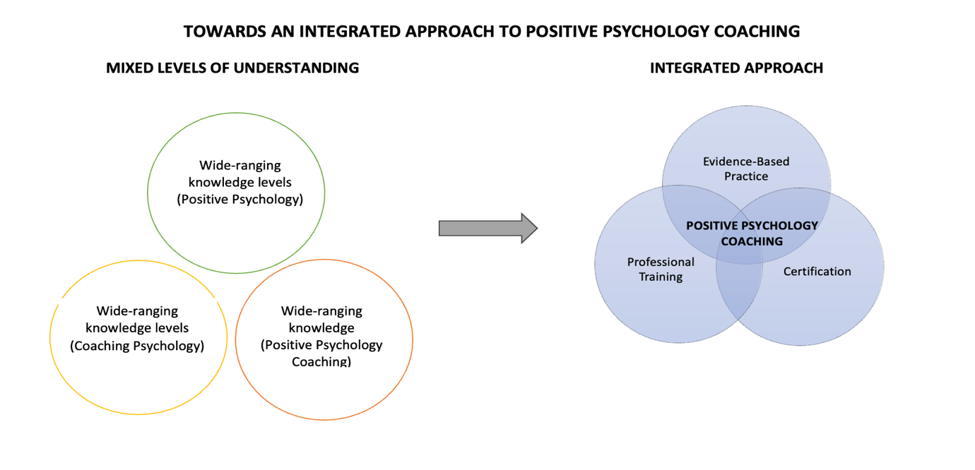 Investigating the Use of a Conceptual Framework for a Positive ...